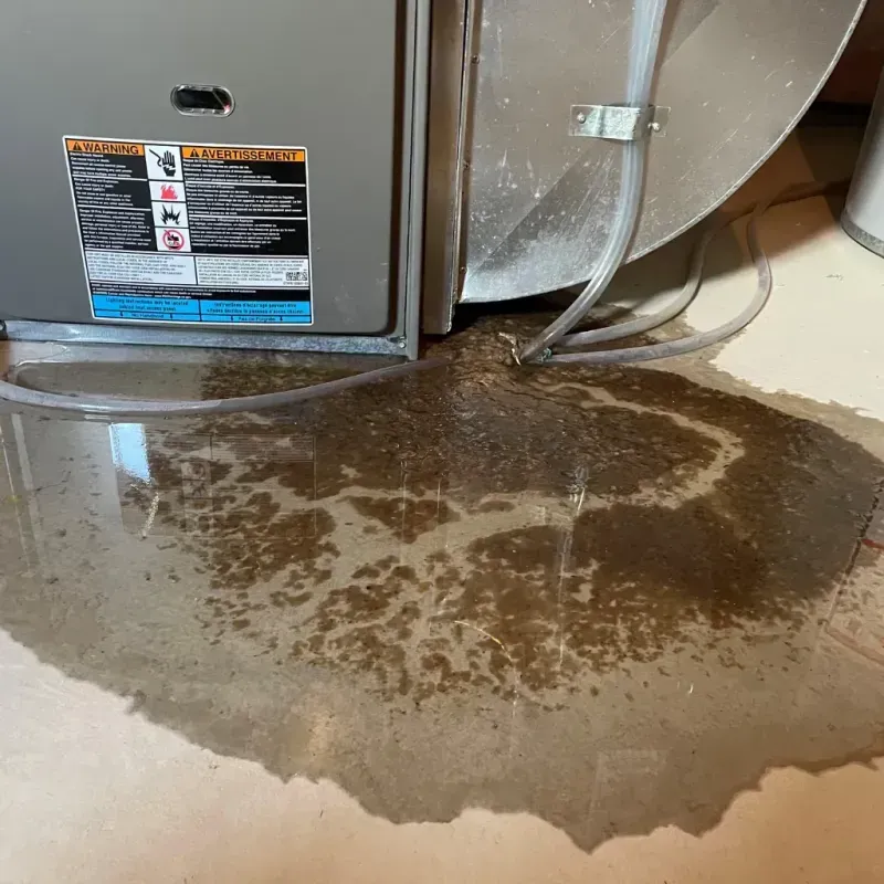 Appliance Leak Cleanup in Winnemucca, NV